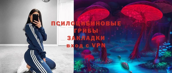 стафф Дмитриев