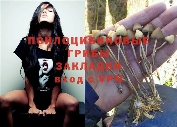 стафф Дмитриев