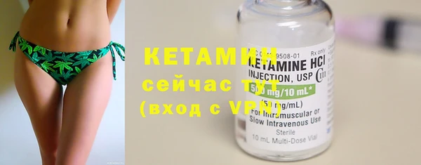 прущие грибы Дмитров