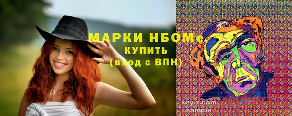 прущие грибы Дмитров