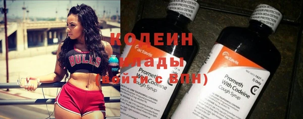 прущие грибы Дмитров