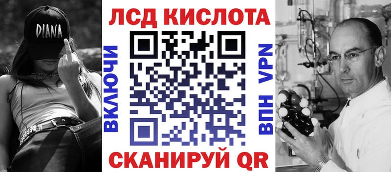 как найти   Дальнегорск  Марки N-bome 1,5мг 