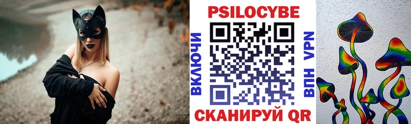 где найти   Дальнегорск  omg как войти  Псилоцибиновые грибы мицелий 